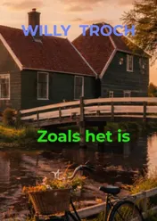 Omslag van Zoals het is