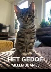 Omslag van Het gedoe