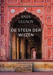 Omslag van De steen der wijzen