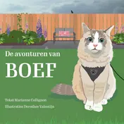 Omslag van De avonturen van Boef