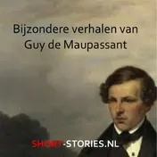 Omslag van Bijzondere verhalen van Guy de Maupassant