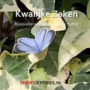 Omslag van Kwalijke zaken