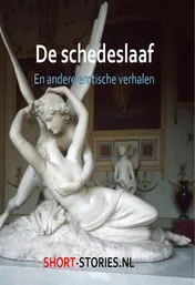 Omslag van De scheldeslaaf