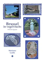 Omslag van Brussel in vogelvlucht