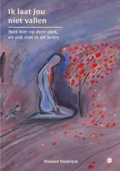 Omslag van Ik laat jou niet vallen