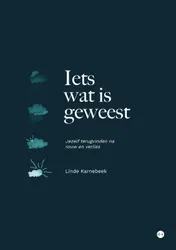 Omslag van Iets wat is geweest