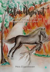 Omslag van Blackspirit