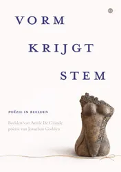 Omslag van Vorm krijgt stem