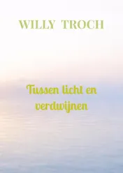 Omslag van Tussen licht en verdwijnen