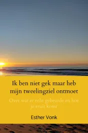 Omslag van Ik ben niet gek maar heb mijn tweelingziel ontmoet