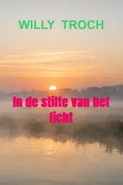 Omslag van In de stilte van het licht