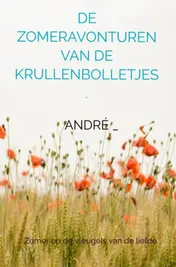 Omslag van DE ZOMERAVONTUREN VAN DE KRULLENBOLLETJES.