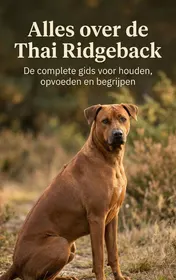 Omslag van Alles over de Thai Ridgeback