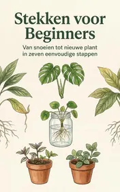 Omslag van Stekken voor Beginners