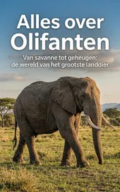 Omslag van Alles over Olifanten