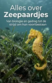 Omslag van Alles over Zeepaardjes