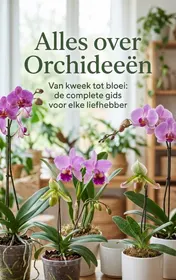 Omslag van Alles over Orchideeën