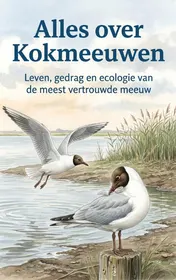 Omslag van Alles over Kokmeeuwen