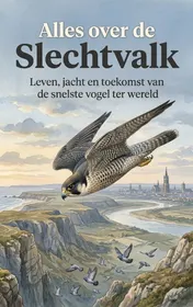 Omslag van Alles over de Slechtvalk