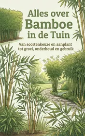 Omslag van Alles over Bamboe in de Tuin