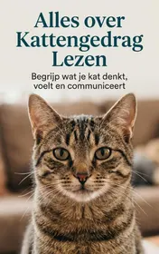 Omslag van Alles over Kattengedrag Lezen