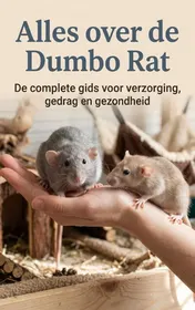 Omslag van Alles over de Dumbo Rat