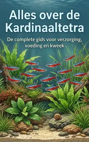 Omslag van Alles over de Kardinaaltetra