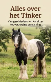 Omslag van Alles over het Tinker