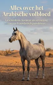 Omslag van Alles over het Arabische volbloed
