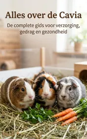 Omslag van Alles over de Cavia