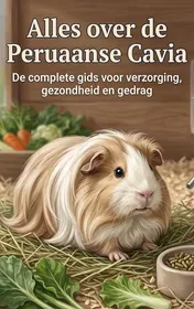Omslag van Alles over de Peruaanse Cavia