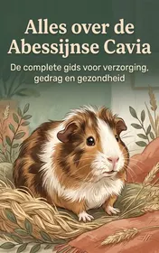 Omslag van Alles over de Abessijnse Cavia