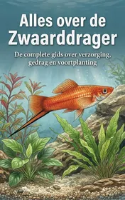 Omslag van Alles over de Zwaarddrager