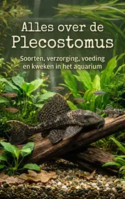 Omslag van Alles over de Plecostomus