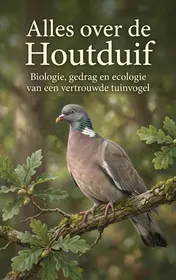 Omslag van Alles over de Houtduif