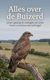 Omslag van Alles over de Buizerd