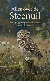 Omslag van Alles over de Steenuil