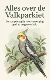 Omslag van Alles over de Valkparkiet