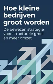 Omslag van Hoe kleine bedrijven groot worden