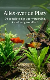 Omslag van Alles over de Platy
