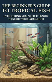 Omslag van The Beginner's Guide to Tropical Fish