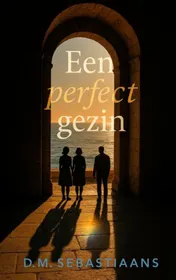 Omslag van Een perfect gezin