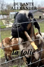 Omslag van La folie