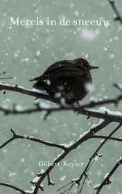 Omslag van Merels in de sneeuw