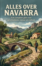 Omslag van Alles over Navarra