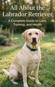 Omslag van All About the Labrador Retriever