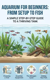 Omslag van Aquarium for Beginners: From Setup to Fish