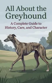 Omslag van All About the Greyhound