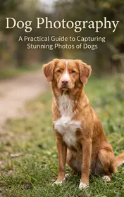 Omslag van Dog Photography