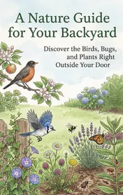 Omslag van A Nature Guide for Your Backyard